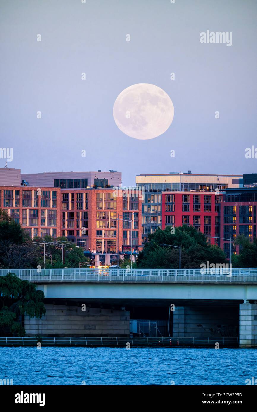 Harvest Moon on over Southwest Waterfront Skyline Washington DC // WASHINGTON DC – der Harvest Moon im Oktober 2025 erhebt sich am 6. Oktober 2025 über die 14th Street Bridge und die Gebäude der Southwest Waterfront Skyline. Dieses himmlische Ereignis beleuchtet die moderne Architektur des wiederbelebten Southwest Waterfront District. Der 14th Street Bridge Komplex erstreckt sich über den Potomac River und verbindet Washington DC mit Arlington, Virginia. Der Erntemond ist der Vollmond, der der herbstlichen Tagundnachtgleiche am nächsten kommt, was traditionell mit landwirtschaftlichen Ernten assoziiert wird. Stockfoto