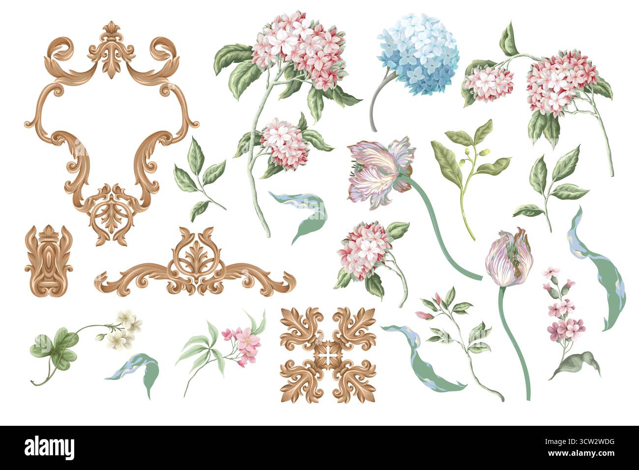 Viktorianische Blumenhortensie und barocke Elemente isoliert. Vektor Stock Vektor