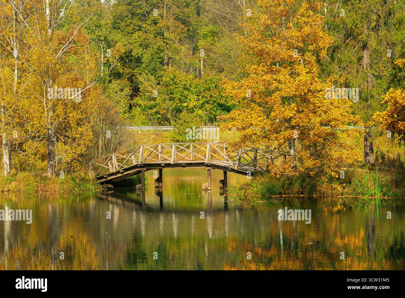 Herbstlandschaft mit einer Holzbrücke über den Fluss Voria, in Abramzewo, Oblast Moskau, Russland Stockfoto