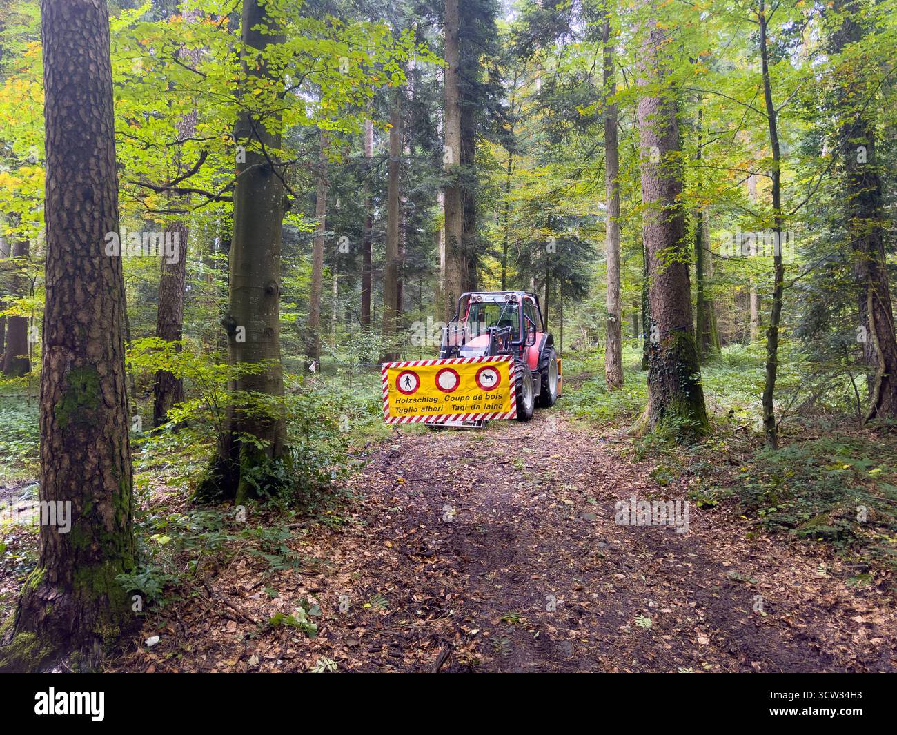 Schweiz, Europa Waldweg mit Forstfahrzeug und Warnschild Holzschlag, mehrsprachige Beschilderung Deutsch, Französisch, Italienisch, Rätoromanisch, Forstarbeiten, Sicherheit im Wald, nachhaltige Forstwirtschaft, Holzernte, Umwelt- und Arbeitsschutz, Natur, Waldpflege, ländlicher Raum, Herbstsaison, ökologische Ressourcennutzung. *** Schweiz, Europa Forststraße mit Forstfahrzeug und Warnschilder Protokollierung, mehrsprachige Beschilderung Deutsch, Französisch, Italienisch, Rätoromanisch forstwirtschaftliche Arbeit, Sicherheit im Wald, nachhaltige Forstwirtschaft, Holzernte, Umwelt- und Arbeitssicherheit, Natur, Wald Stockfoto