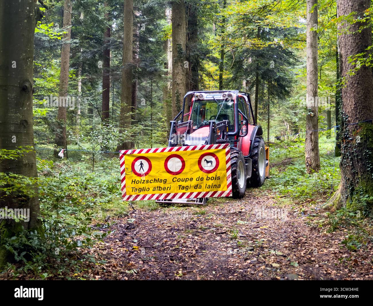 Schweiz, Europa Waldweg mit Forstfahrzeug und Warnschild Holzschlag, mehrsprachige Beschilderung Deutsch, Französisch, Italienisch, Rätoromanisch, Forstarbeiten, Sicherheit im Wald, nachhaltige Forstwirtschaft, Holzernte, Umwelt- und Arbeitsschutz, Natur, Waldpflege, ländlicher Raum, Herbstsaison, ökologische Ressourcennutzung. *** Schweiz, Europa Forststraße mit Forstfahrzeug und Warnschilder Protokollierung, mehrsprachige Beschilderung Deutsch, Französisch, Italienisch, Rätoromanisch forstwirtschaftliche Arbeit, Sicherheit im Wald, nachhaltige Forstwirtschaft, Holzernte, Umwelt- und Arbeitssicherheit, Natur, Wald Stockfoto
