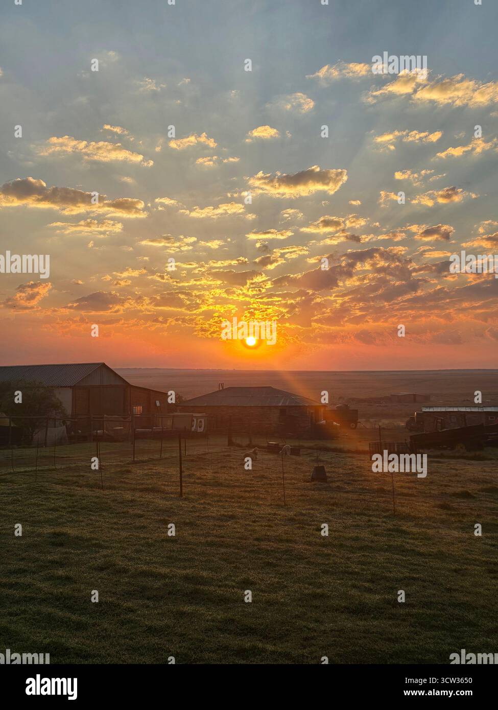 Wunderschöne Bilder von der Natur von ihrer goldenen Schönheit, Bauernhof in Südafrika mit wunderschönen Hintern Tropfen Stockfoto