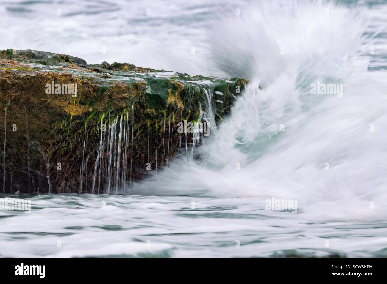 Hintergrund mit Meereswellen, die auf Felsen brechen, die mit Algen bedeckt sind, am Strand von Agua Amarga, Alicante, Spanien Stockfoto