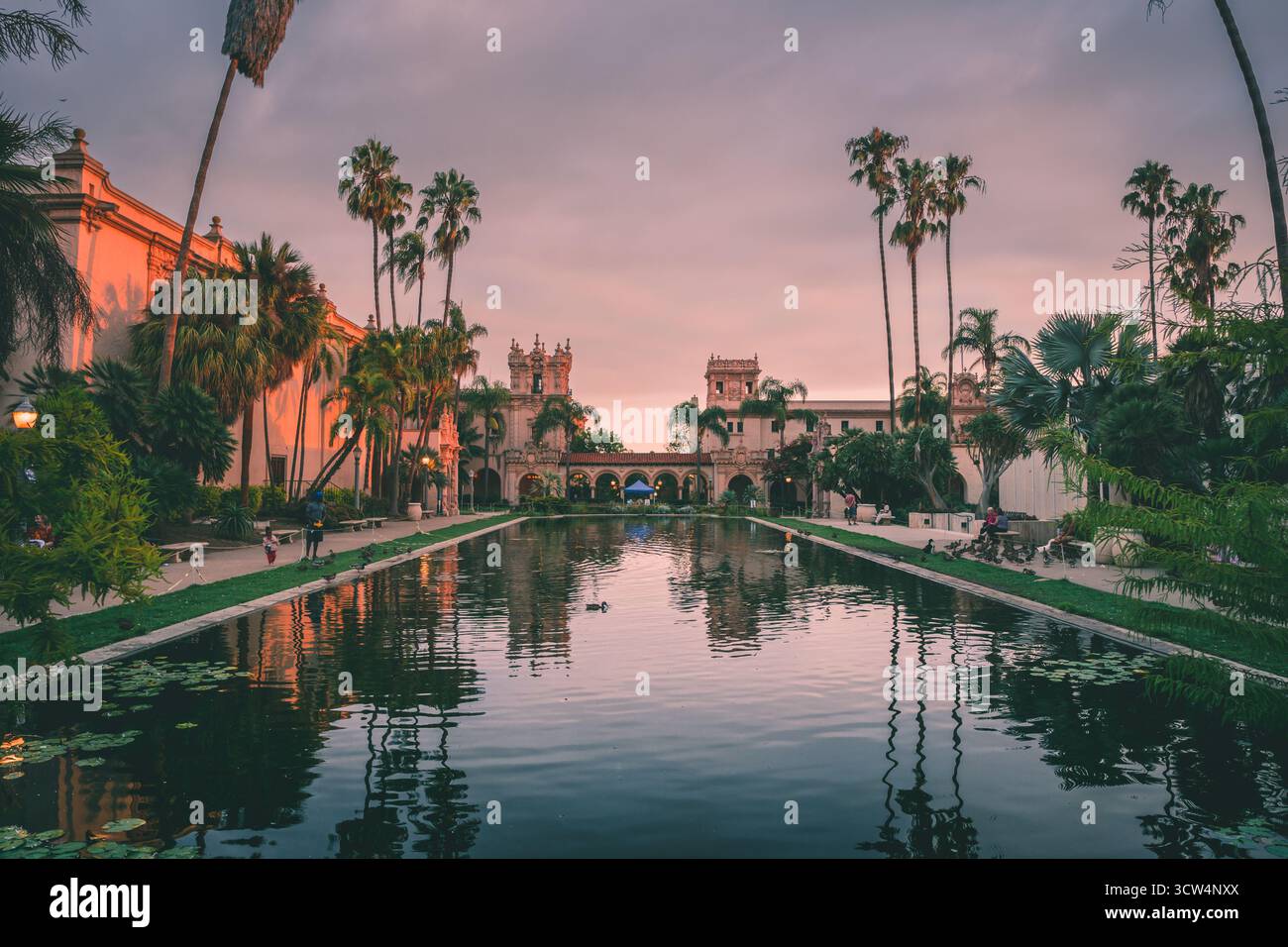 Ein ruhiger Blick auf den Balboa Park bei Sonnenuntergang, mit Palmen, die sich im ruhigen Teich spiegeln, und historischer Architektur im Hintergrund. Stockfoto