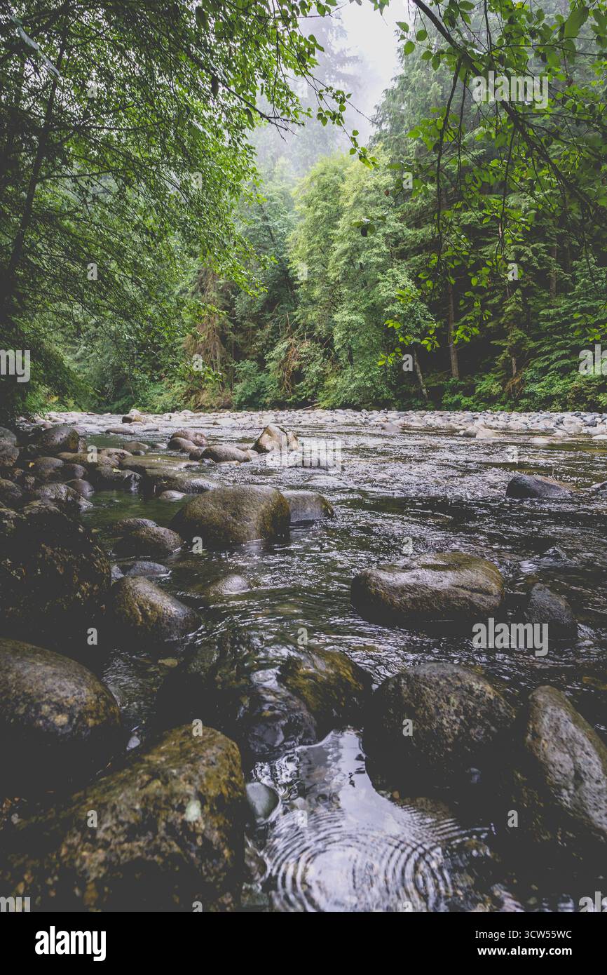 Ein klarer Fluss schlängelt sich durch einen lebendigen Wald mit glatten Felsen an seinen Ufern. Regen erzeugt Wellen an der Oberfläche und trägt zu einer friedlichen Atmosphäre bei Stockfoto