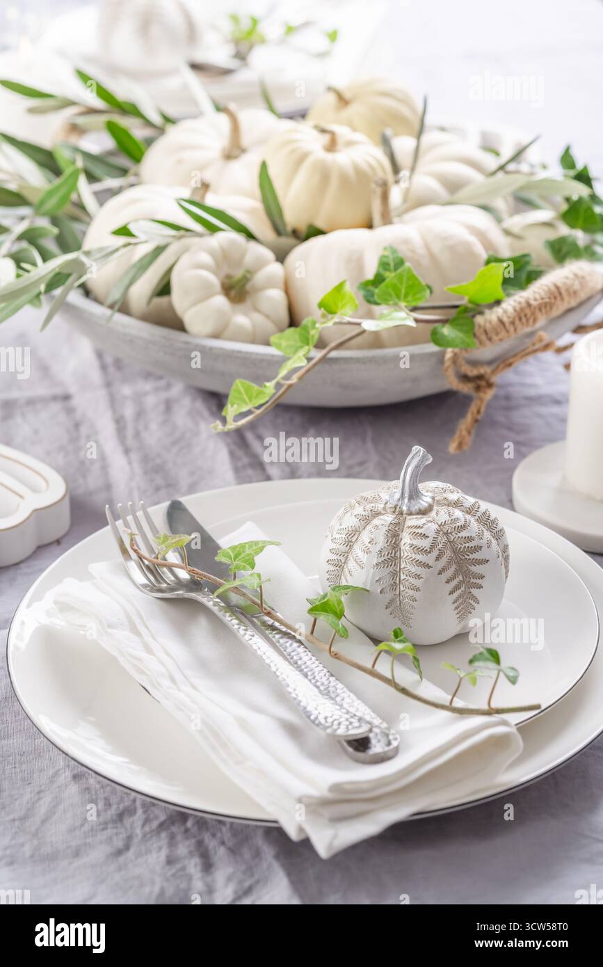 Legen Sie Einstellungen mit weißen Kürbissen für Thanksgiving Stockfoto