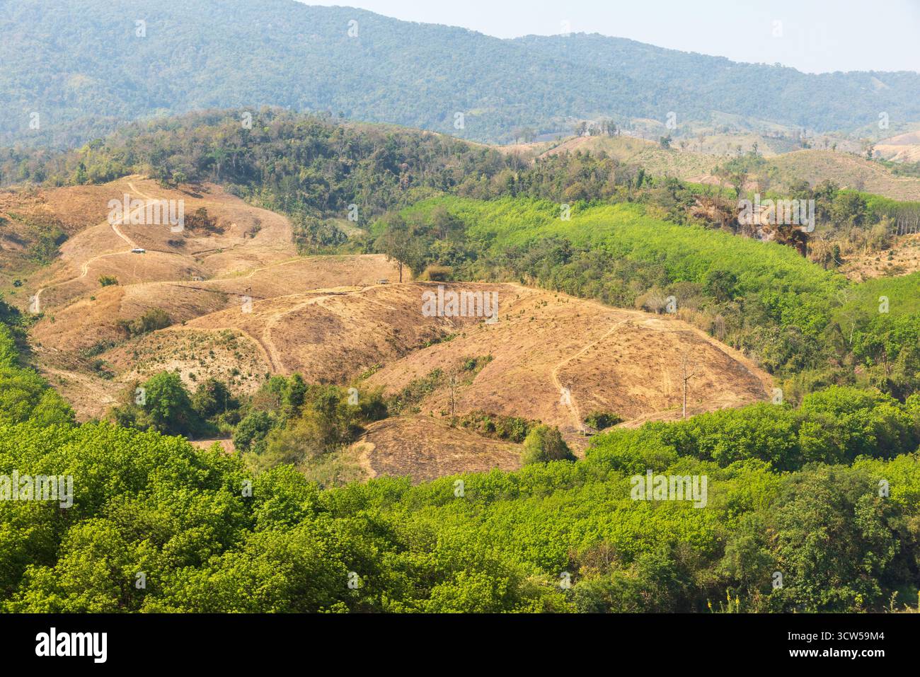 Die Hauptursache für Waldverluste ist die Entwaldung der Landwirtschaft, Umweltschäden in Südostasien, die globale Erwärmung und die Umwelt. Stockfoto