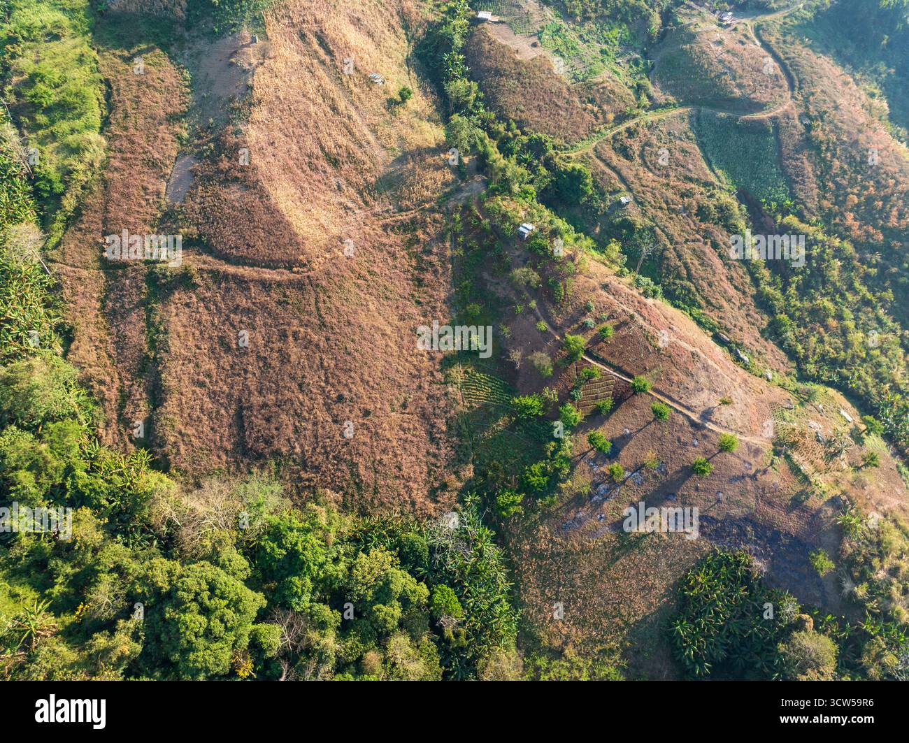 Die Hauptursache für Waldverluste ist die Entwaldung der Landwirtschaft, Umweltschäden in Südostasien, die globale Erwärmung und die Umwelt. Stockfoto
