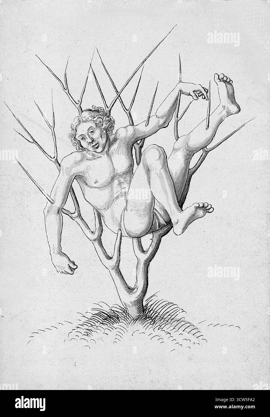 Jörg Schweiger - (um 1470/80 in Augsburg geboren und am 18. April 1533 in Basel gestorben) - Martyr wurde auf einen Thorn Bush aufgespießt Stockfoto