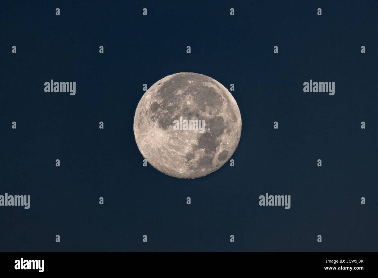 Ein ruhiger Blick auf den Vollmond vor einem tiefen, blauen Nachthimmel. Detaillierte Mondoberfläche sichtbar. Faszinierende Himmelsszene. Stockfoto