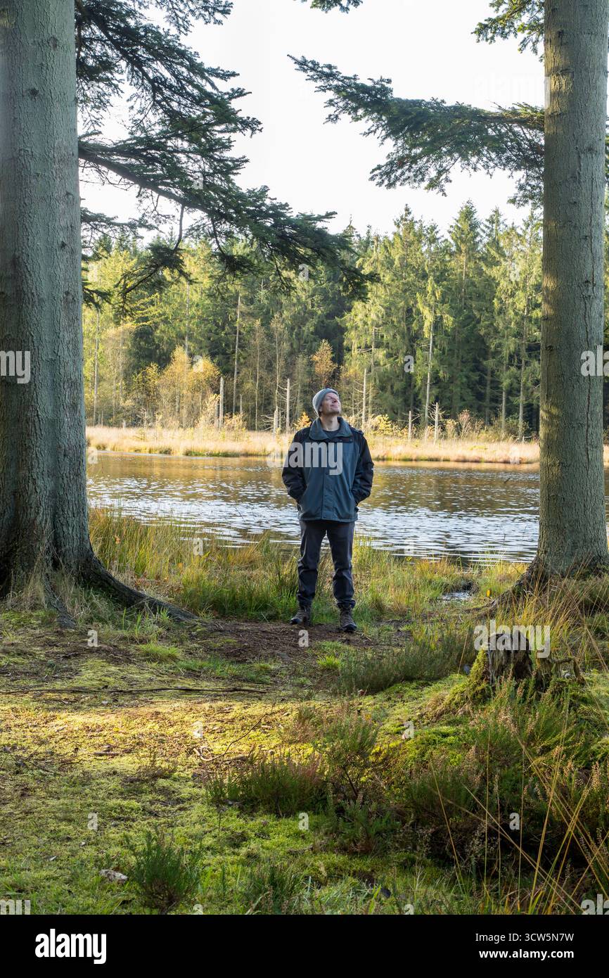 Mann, der zwischen zwei sehr großen Kiefern steht und über den ruhigen Waldsee blickt, ein ruhiger Moment in der Natur Stockfoto