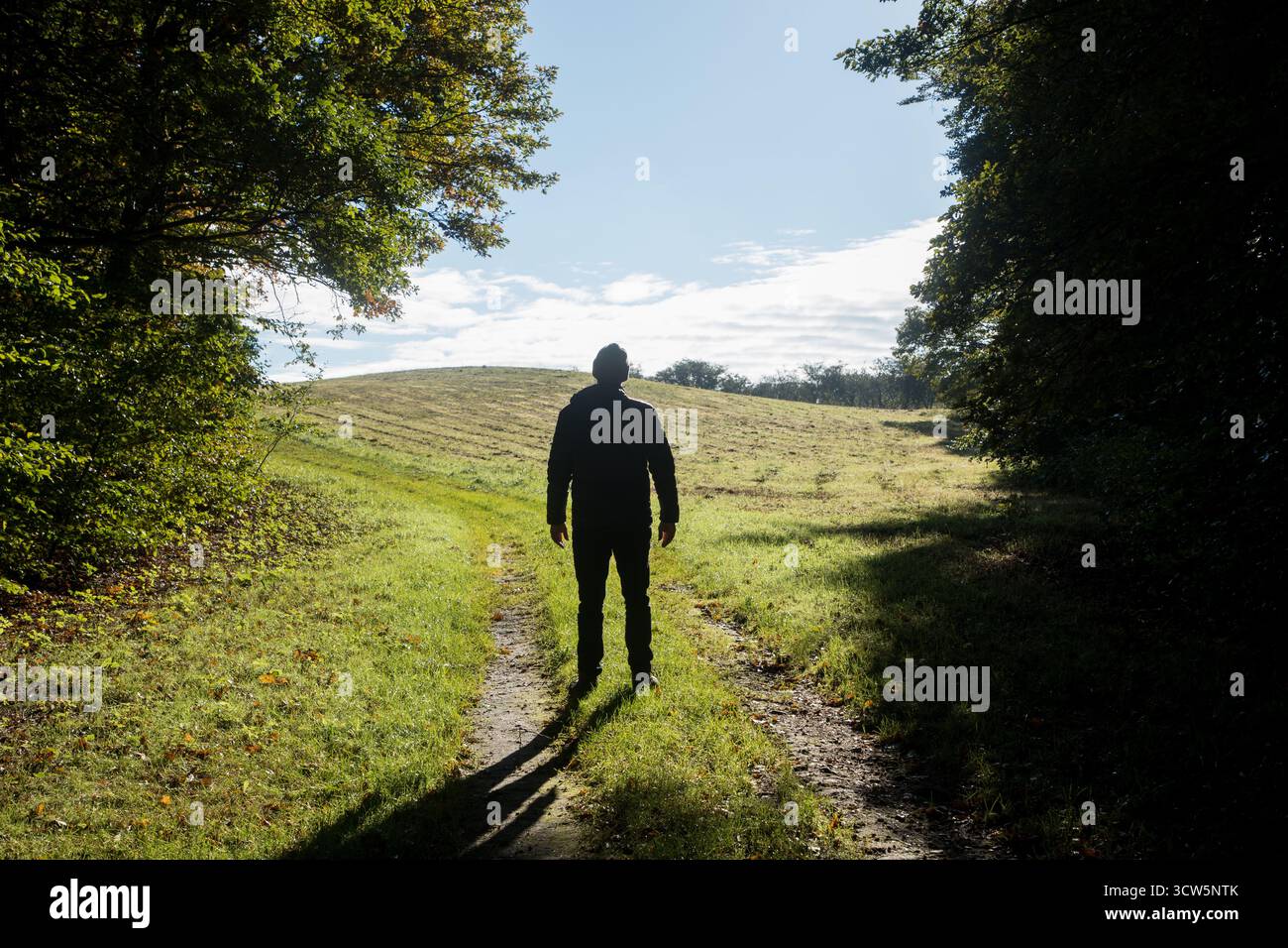 Mann in Silhouette auf dem Weg im Wald in der Herbstsonne. Ein Mann, der im Sonnenlicht steht, wirft Schattendenken, viele Entscheidungen bedeuten Stockfoto