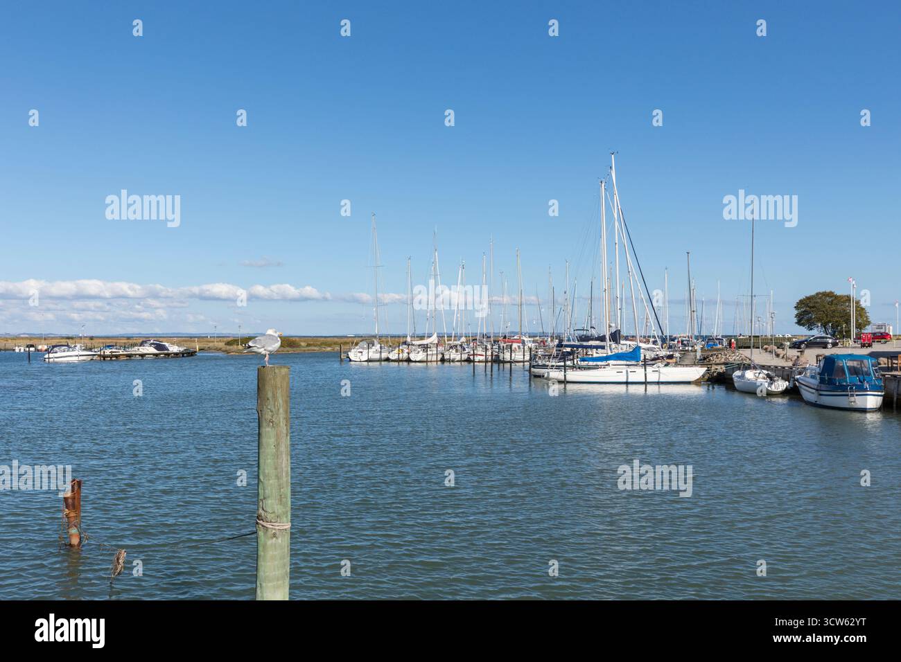 Marina in Norsminde, Dorf an der Ostseeküste bei Aarhus, Dänemark. Die Möwe hockte auf einem Pfosten im Vordergrund. Stockfoto