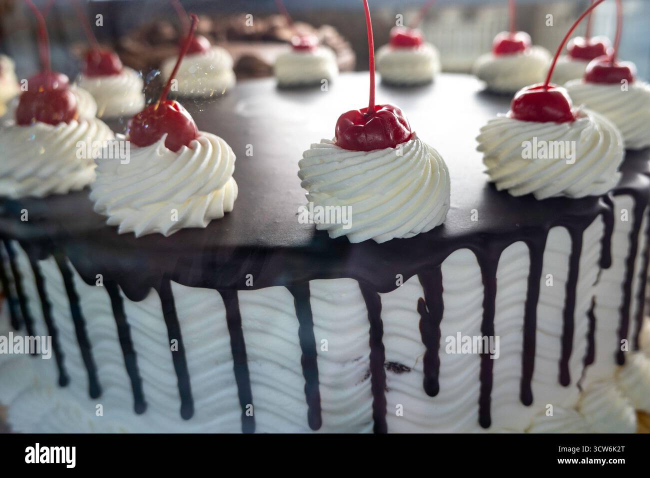 La Delice Konditorei bietet eine große Auswahl an köstlichen Konditoreien, New York City, USA 2025 Stockfoto