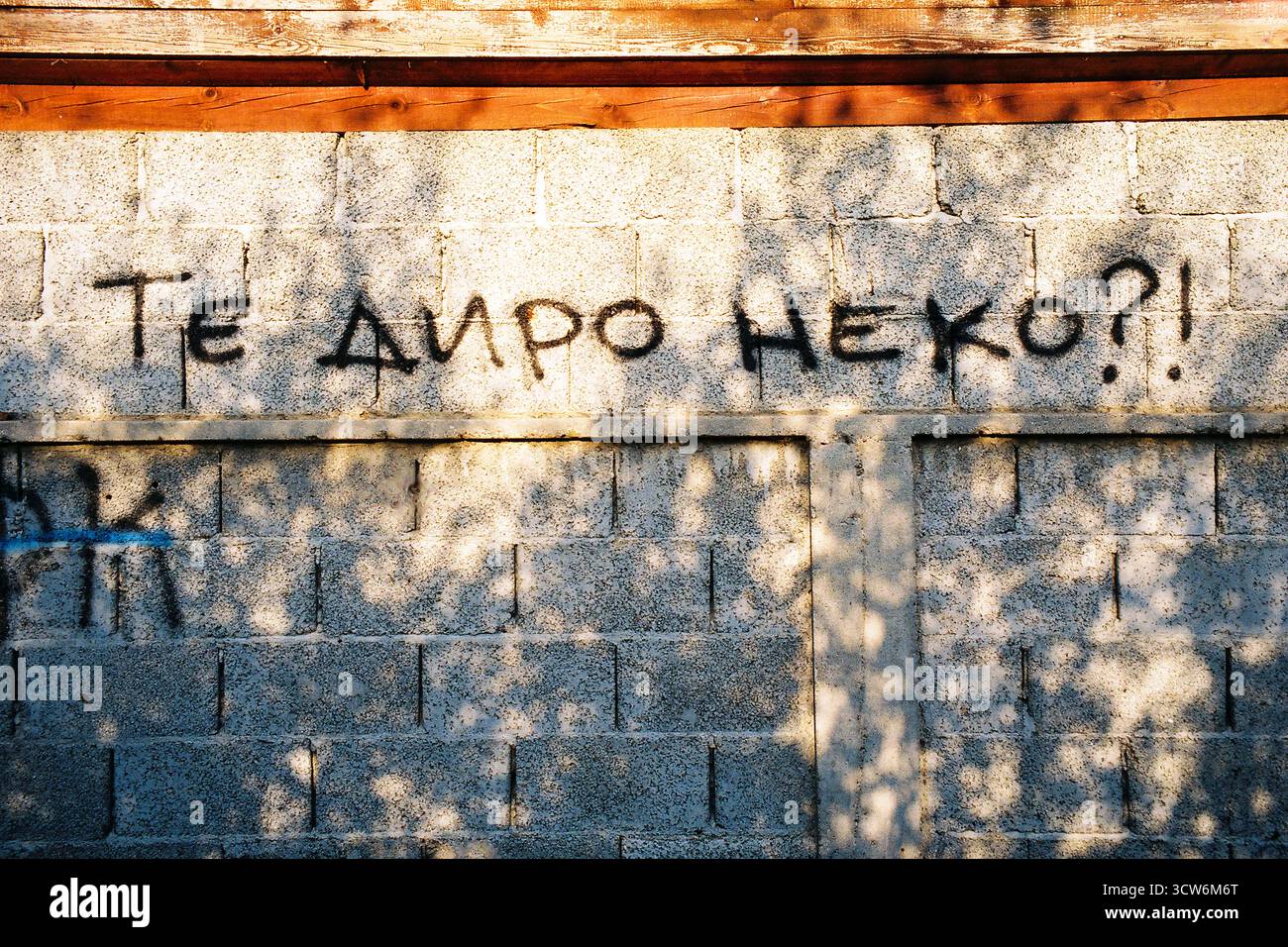 Graffiti heißt „jel te diro neko“ auf einer grauen Blockwand. Baumschatten tanzen im Sonnenlicht. Aufgenommen auf analogem Film, roh und leise emotional. Stockfoto Graffiti heißt „jel te diro neko“ auf einer grauen Blockwand. Baumschatten tanzen im Sonnenlicht. Aufgenommen auf analogem Film, roh und leise emotional. Stockfoto