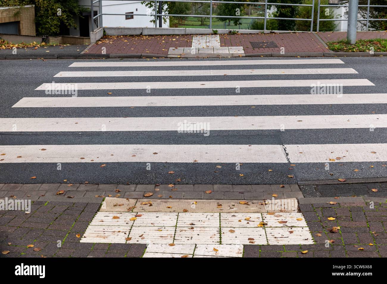Zebrastreifen im Herbst 09.10.25, Selters: Symbolfoto, Illustrationsbild, Symbolbild, Illustrationsfoto, Alltagsszene ein Zebrastreifen in einer deutschen Stadt, bedeckt mit einzelnen Herbstblättern. Das Foto zeigt den Straßenbelag und die typischen weißen Markierungen des Fußgängerüberweges, aufgenommen aus einer geraden Perspektive. Ein ruhiges, alltägliches Stadtmotiv, das Ordnung und Übergang symbolisiert. Selters Hessen Deutschland *** Crosswalk im Herbst 09 10 25, Selters Symbolfoto, Illustrationsbild, Symbolbild, Illustrationsfoto, Alltagsszene Ein Querweg in einer deutschen Stadt, Tarnung Stockfoto