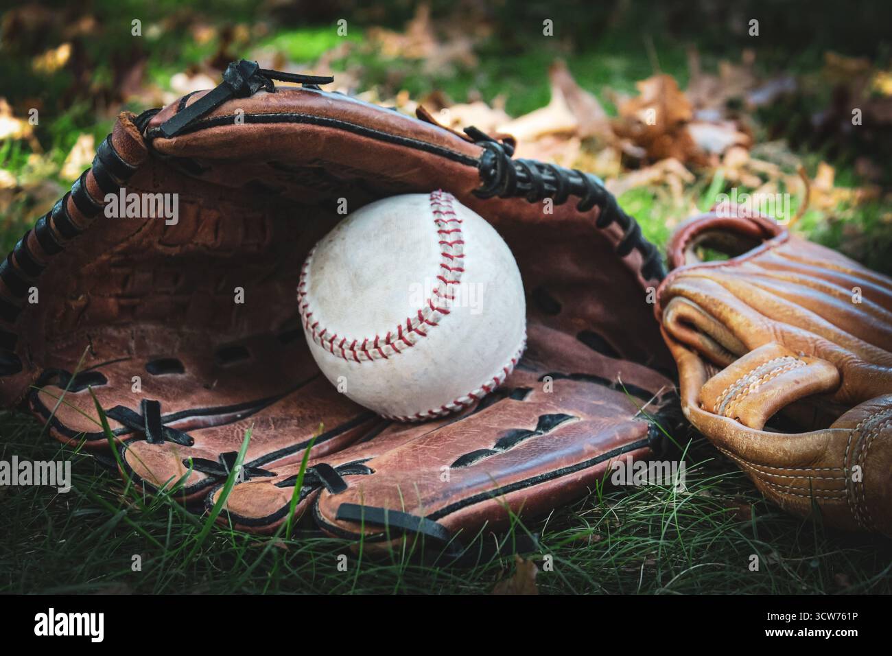 Ein Baseball und zwei Lederhandschuhe liegen auf einem grasbewachsenen Feld mit gefallenen Blättern. Eine kurze Pause von einem Spiel oder Training. Sportliches Designelement Stockfoto