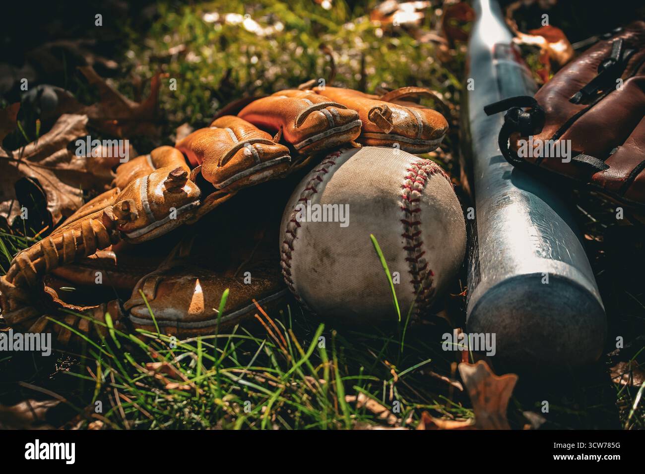 Eine Baseball- und Baseballausrüstung, einschließlich Handschuh und Schläger, die auf Gras und gefallenen Blättern ruht. Hintergrund oder Banner für Sport- und Freizeitgestaltung. Stockfoto Eine Baseball- und Baseballausrüstung, einschließlich Handschuh und Schläger, die auf Gras und gefallenen Blättern ruht. Hintergrund oder Banner für Sport- und Freizeitgestaltung. Stockfoto