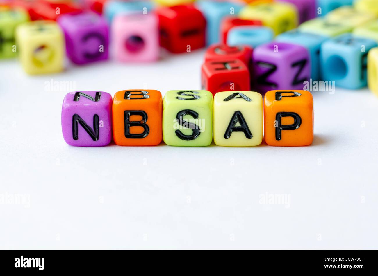 NBSAP-Text zu mehrfarbigen Würfeln, die die nationale Biodiversitätsstrategie und den Aktionsplan darstellen. Erhaltungskonzept Stockfoto