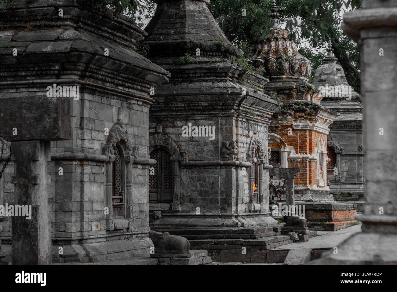 Alte Steinschreine am Pashupatinath Tempel von nepal Stockfoto