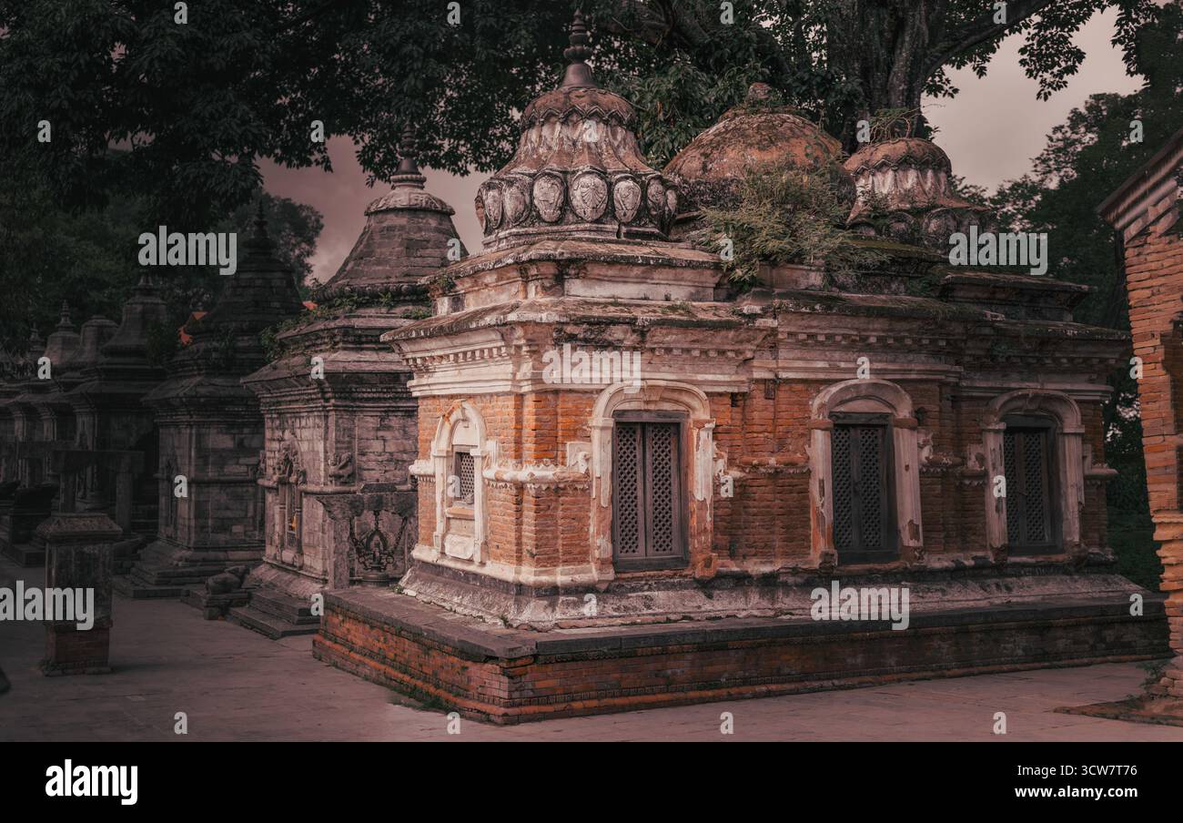 Zeitlose Schreine des Pashupatinath-Tempels in kathmandu Stockfoto