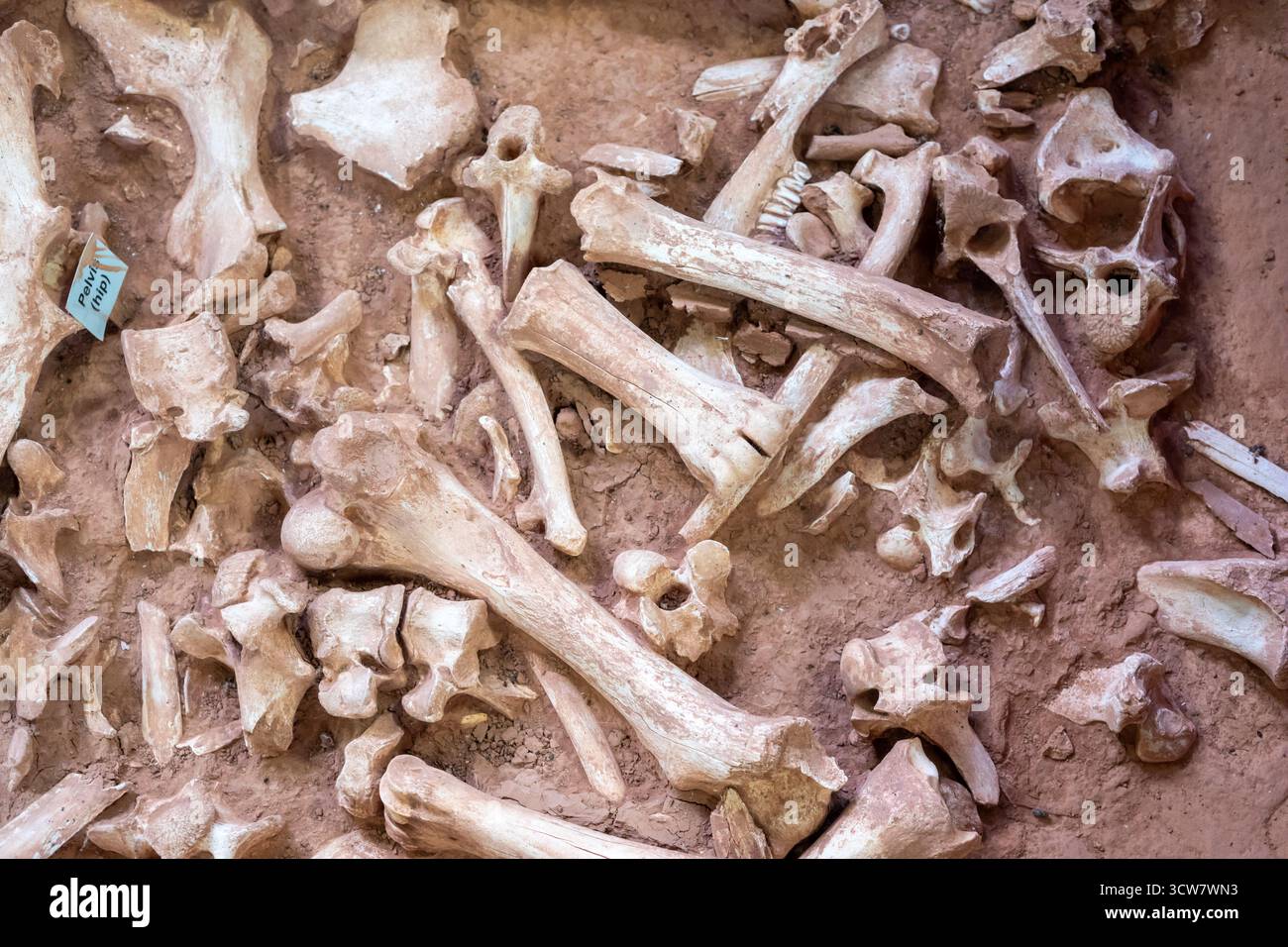 Beulah, Wyoming – der Vore Buffalo Jump, ein Loch, das von den Plains Indians von 1550 bis 1800 als Falle für Bisons genutzt wurde. Archäologen haben uncov Stockfoto