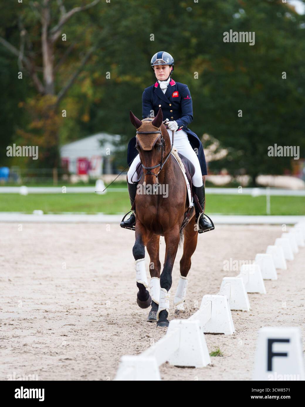 Caroline Harris von Großbritannien mit Cooley Mosstown während der Dressur bei den Boekelo Enschede Horse Trials am 10. Oktober 2025 in Boekelo, Niederlande (Foto: Joe Jackson - MXIMD Pictures) Credit: MXIMD Pictures/Alamy Live News Stockfoto