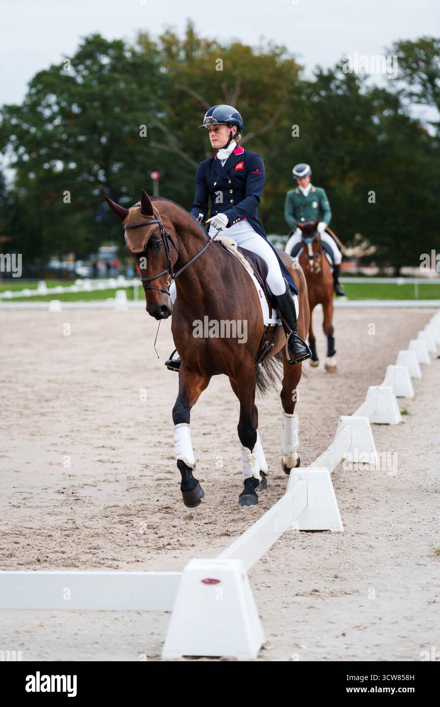 Caroline Harris von Großbritannien mit Cooley Mosstown während der Dressur bei den Boekelo Enschede Horse Trials am 10. Oktober 2025 in Boekelo, Niederlande (Foto: Joe Jackson - MXIMD Pictures) Credit: MXIMD Pictures/Alamy Live News Stockfoto