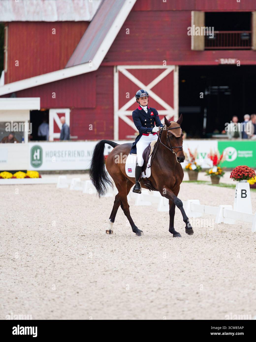 Caroline Harris von Großbritannien mit Cooley Mosstown während der Dressur bei den Boekelo Enschede Horse Trials am 10. Oktober 2025 in Boekelo, Niederlande (Foto: Joe Jackson - MXIMD Pictures) Credit: MXIMD Pictures/Alamy Live News Stockfoto