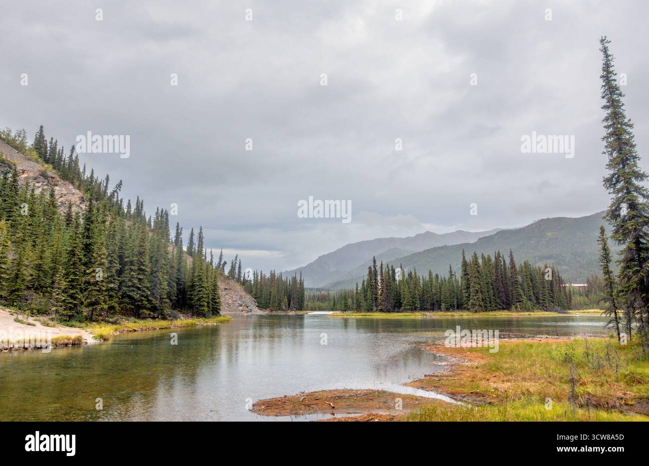 Horseshoe Lake Trail, Denali National Park, Alaska, USA Stockfoto