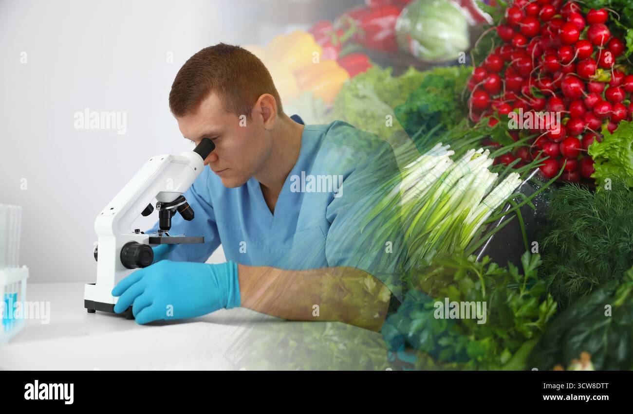 Analyse der Lebensmittelqualität. Laborarbeiter mit Mikroskop, Doppelbelichtung mit frischem Gemüse Stockfoto