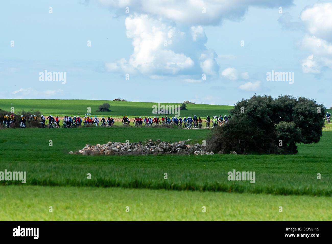 Wanderer in leuchtender Kleidung, die an einem sonnigen Tag mit flauschigen Wolken gemeinsam durch leuchtende grüne Felder spazieren. Stockfoto
