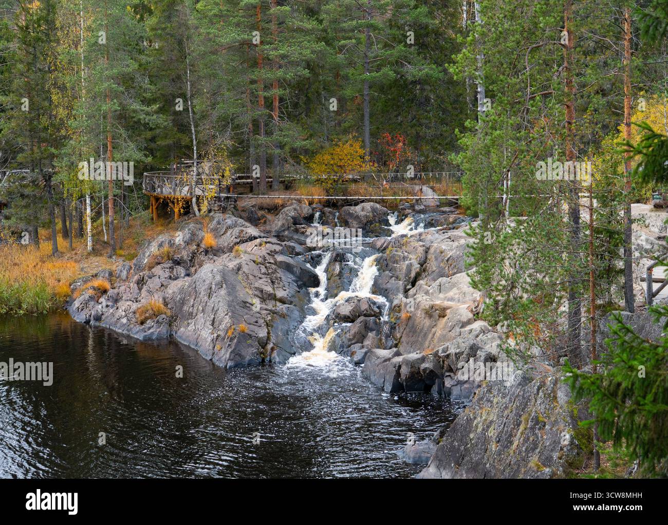Ein malerischer Blick auf einen kleinen Wasserfall, der über dunkle Felsen in einen Fluss stürzt, umgeben von einem dichten Wald mit herbstlichen Farben Stockfoto