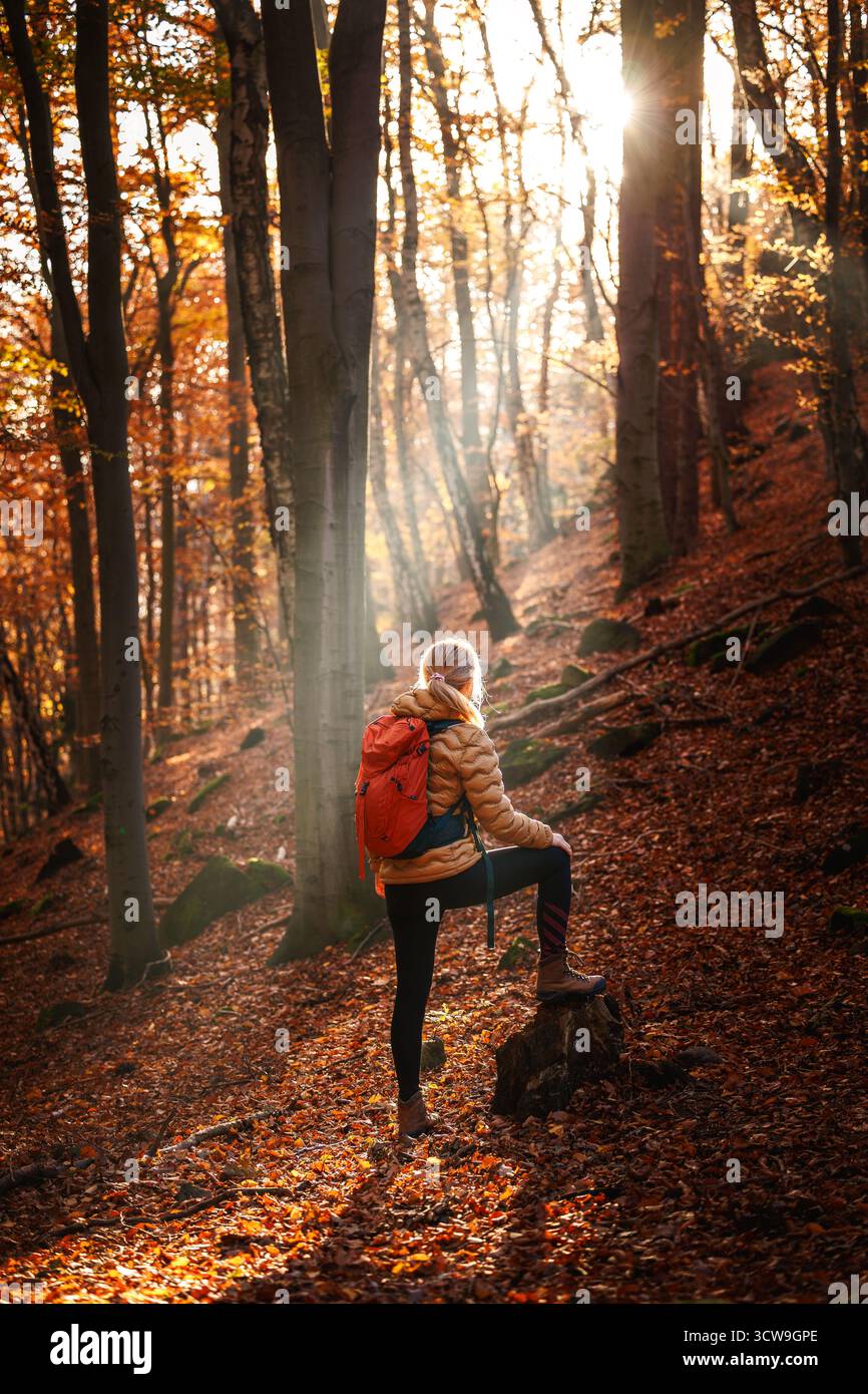 Frau wandert im Herbstwald. Wanderer mit rotem Rucksack klettert im Wald bergauf. Abenteuer in der Natur Stockfoto
