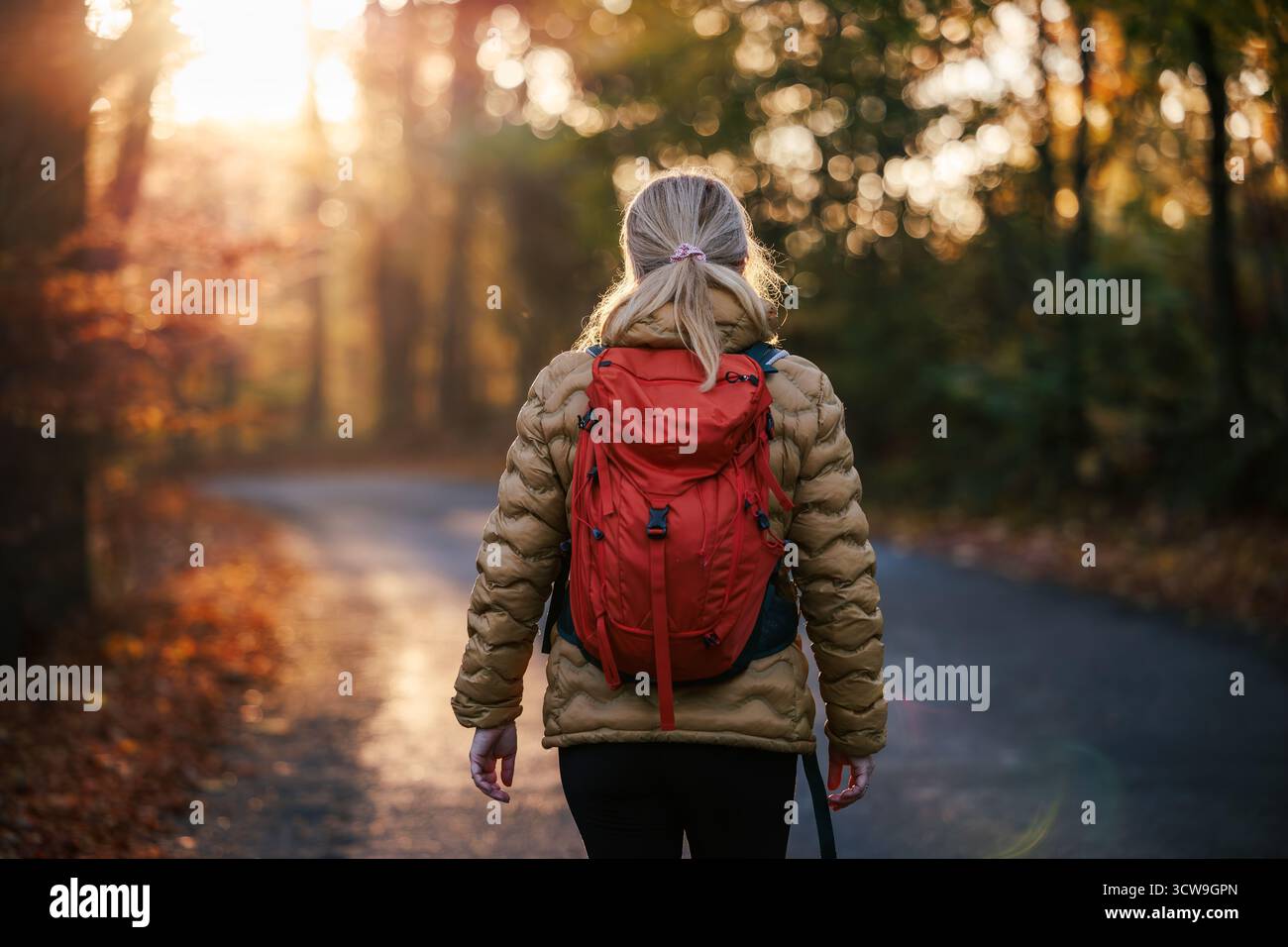 Wanderer mit rotem Rucksack, der während des Sonnenuntergangs auf einer Landstraße im Wald spaziert. Wanderung durch den Wald Stockfoto
