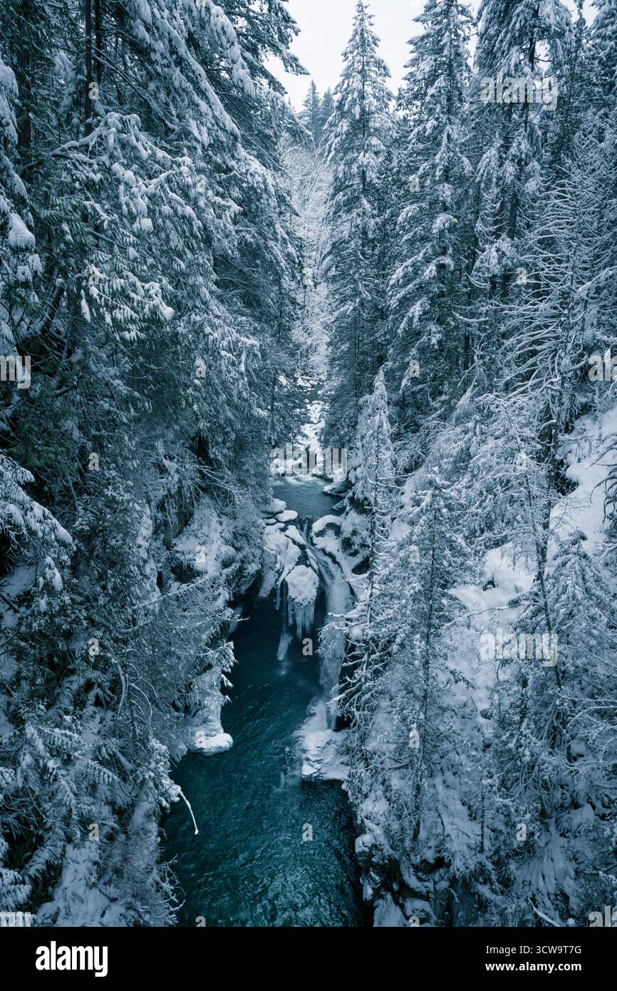 Schnee bedeckt die hohen Bäume um einen tiefblauen Fluss. Eis bildet sich entlang des Ufers, so wie die Kälte des Winters die ruhige Landschaft in einem abgelegenen Wald bestimmt Stockfoto