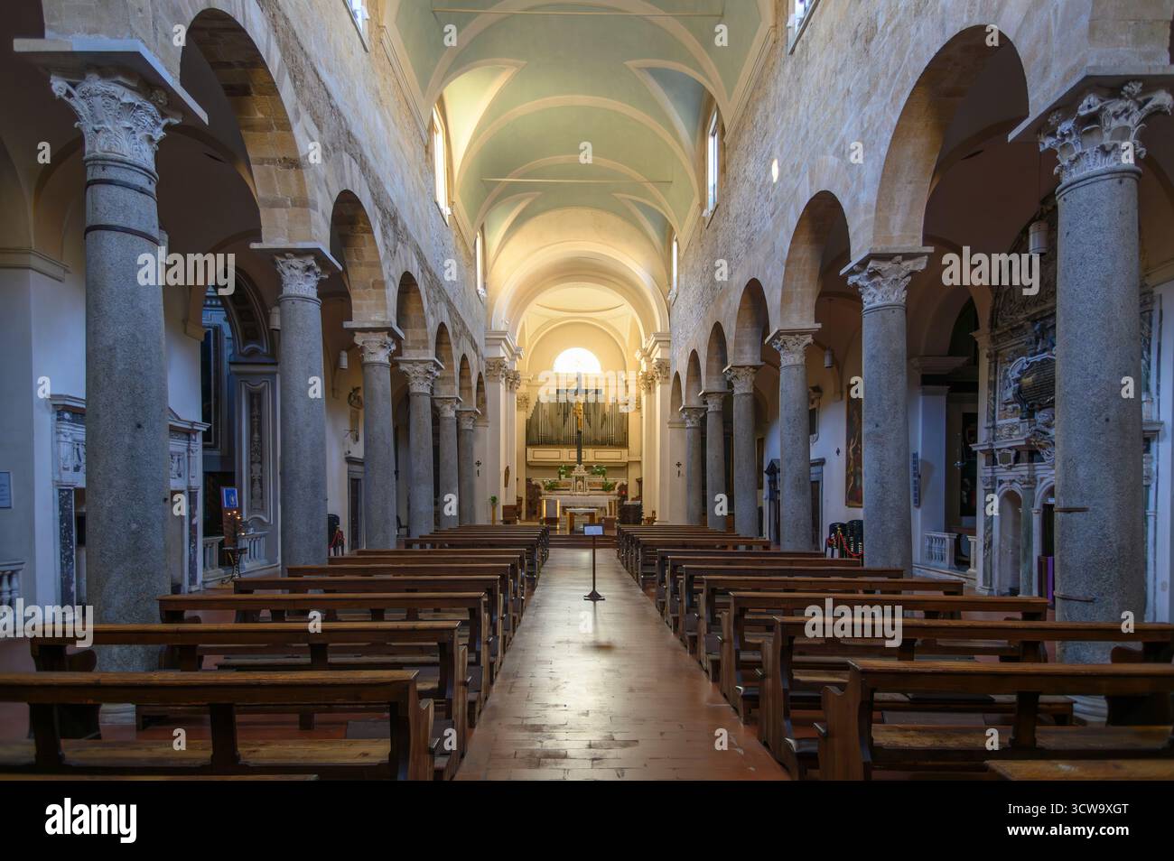 San Frediano, eine römisch-katholische Kirche im romanischen Stil, die offizielle Kirche der Universität Pisa, Italien Stockfoto