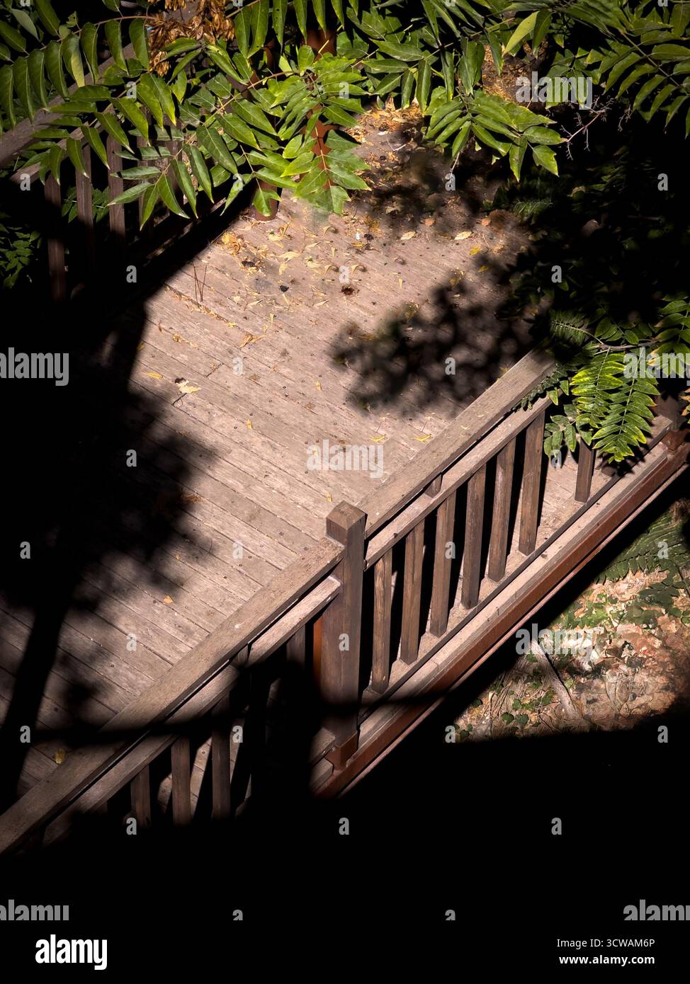 Holzbrücke mit Sonnenlicht und Baumschatten im Parkbereich Stockfoto