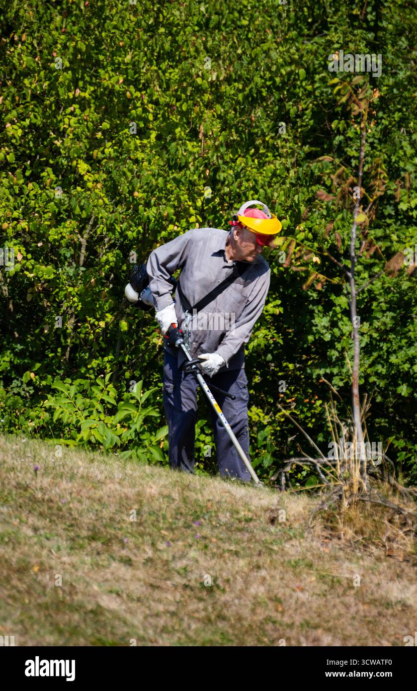 Ein Mann steht auf einem grasbewachsenen Hang mit einem Unkrauttrimmer, der Unkraut und hohes Gras in einer sonnigen Umgebung im Freien, umgeben von üppigen grünen Büschen, schneidet. Stockfoto