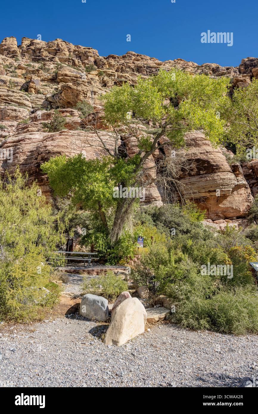 Besuch des Red Rock Canyon vor Las Vegas Nevada. Stockfoto