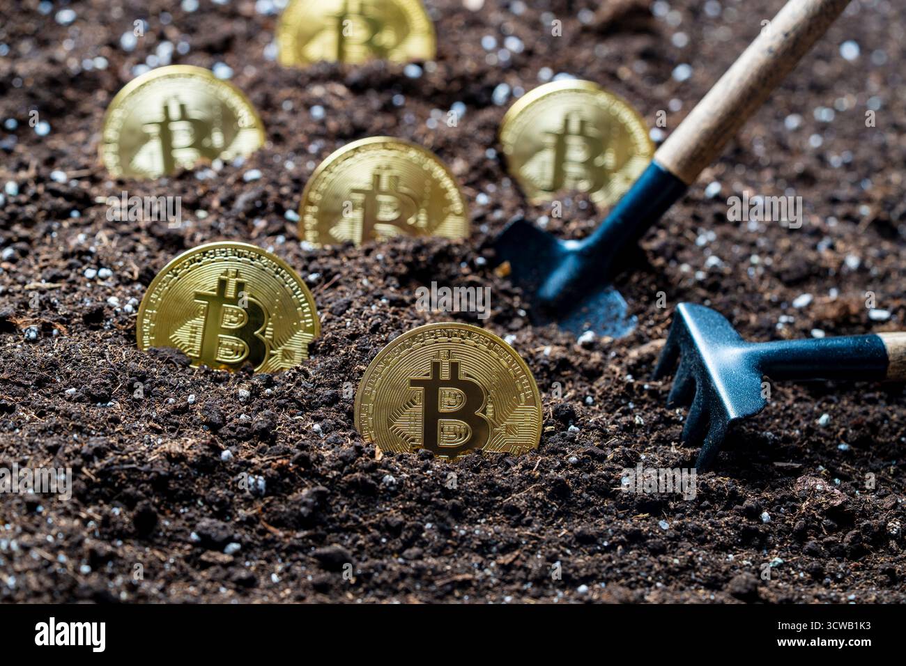 Eine goldene Bitcoin-Münze in den Boden gepflanzt, Nahaufnahme. Virtuelles  Mining von Kryptowährungen. Goldene Bitcoin-Kryptowährungsmünzen aus Metall  und Schaufel g Stockfotografie - Alamy