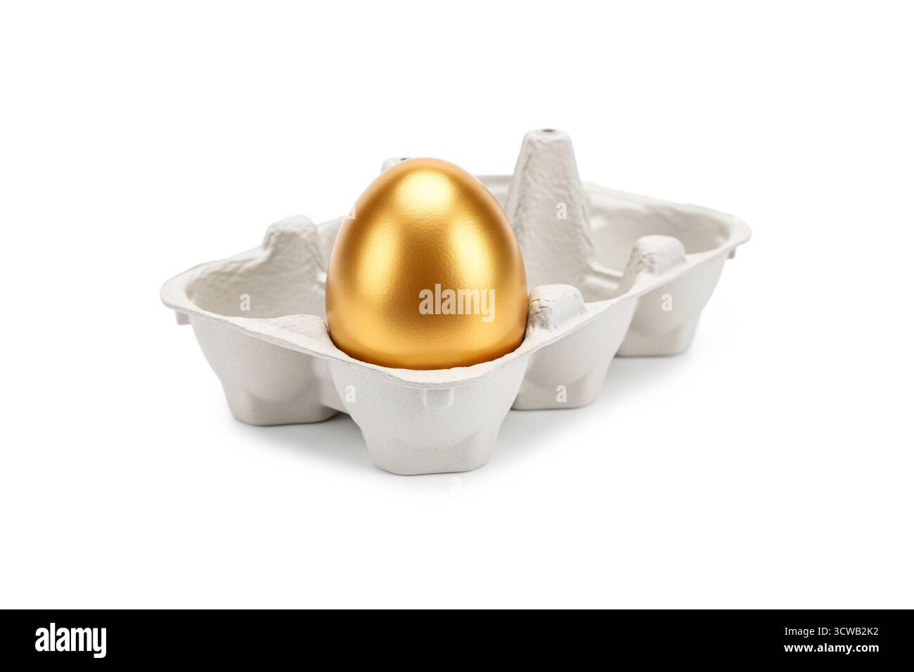 Ein glänzendes, goldenes Ei, das in einem einfachen Eierkarton sitzt und Einzigartigkeit, hohen Wert, finanzielle Investitionen oder herausragende Ideen in einem Mini darstellt Stockfoto