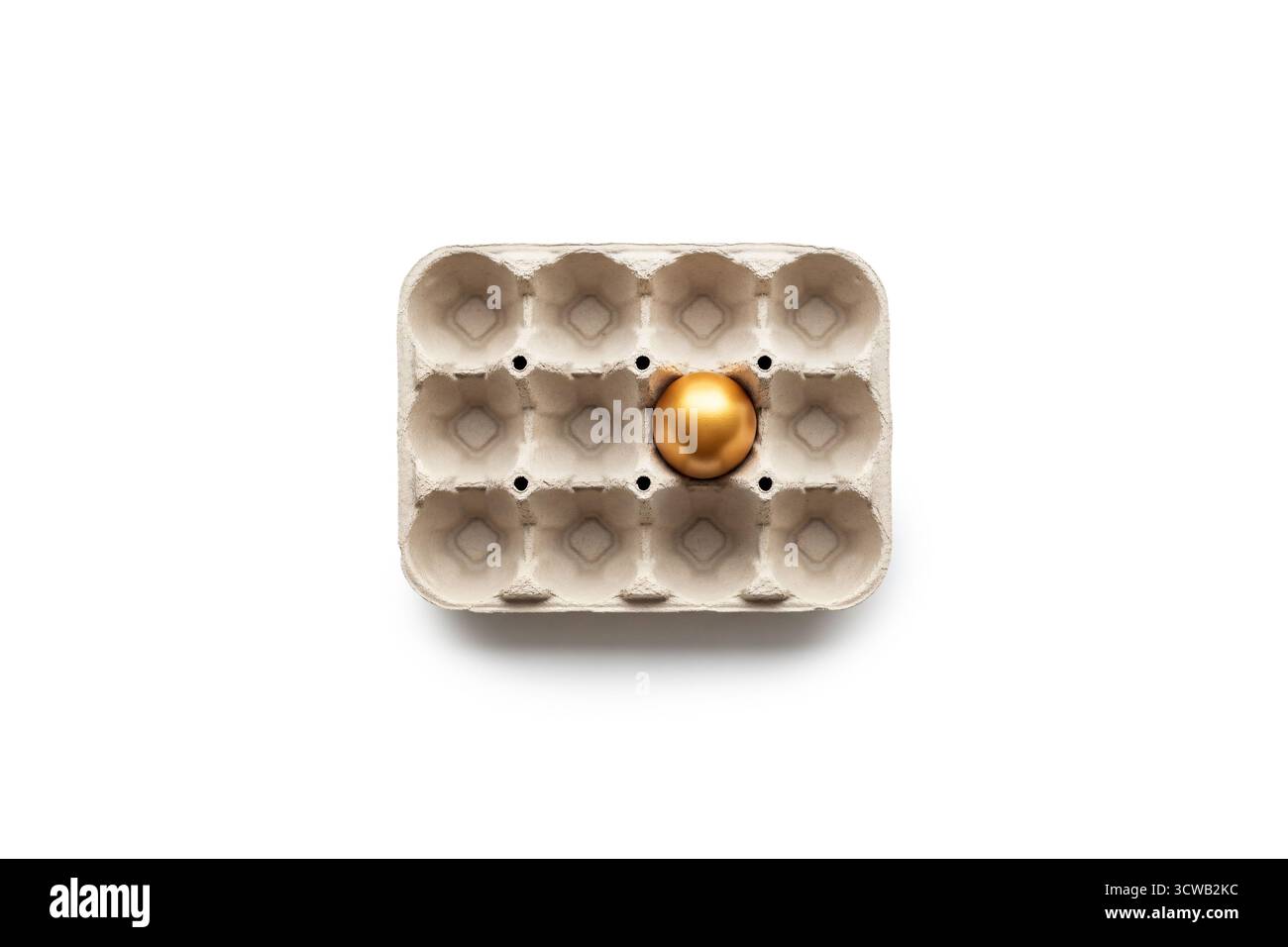 Ein glänzendes, goldenes Ei, das in einem einfachen Eierkarton sitzt und Einzigartigkeit, hohen Wert, finanzielle Investitionen oder herausragende Ideen in einem Mini darstellt Stockfoto