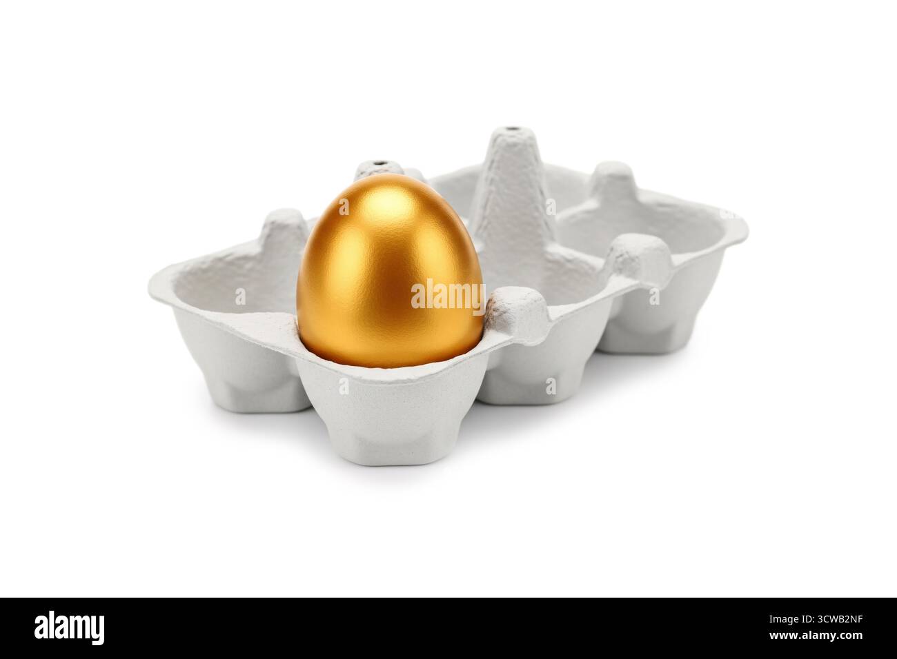 Ein glänzendes, goldenes Ei, das in einem einfachen Eierkarton sitzt und Einzigartigkeit, hohen Wert, finanzielle Investitionen oder herausragende Ideen in einem Mini darstellt Stockfoto