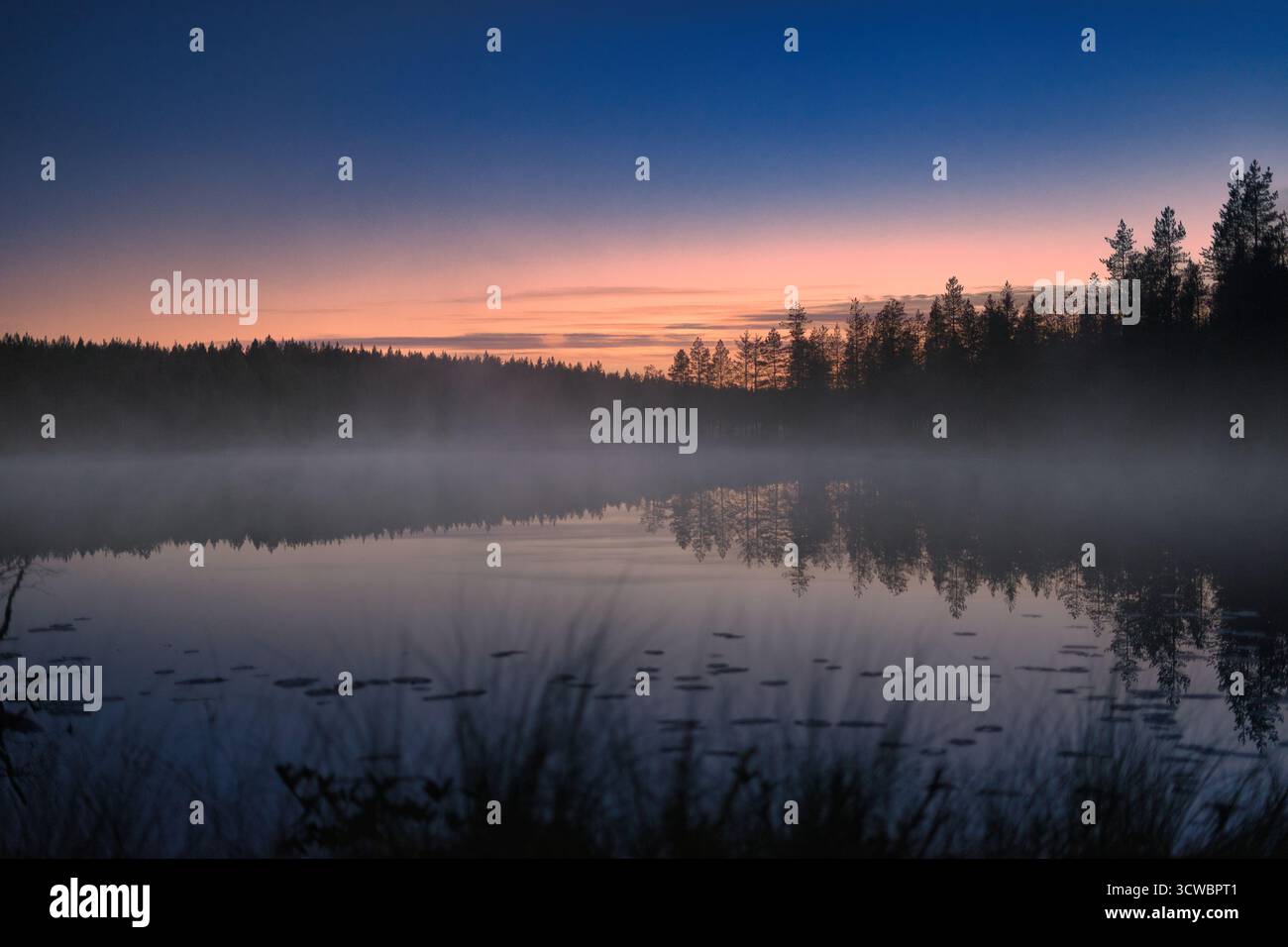 Eine ruhige Seeszene in Finnland bei Sonnenuntergang, mit Nebel, der aus dem Wasser steigt. Das sanfte Abendlicht und der Nebel sorgen für eine ruhige, stimmungsvolle Stimmung. Stockfoto