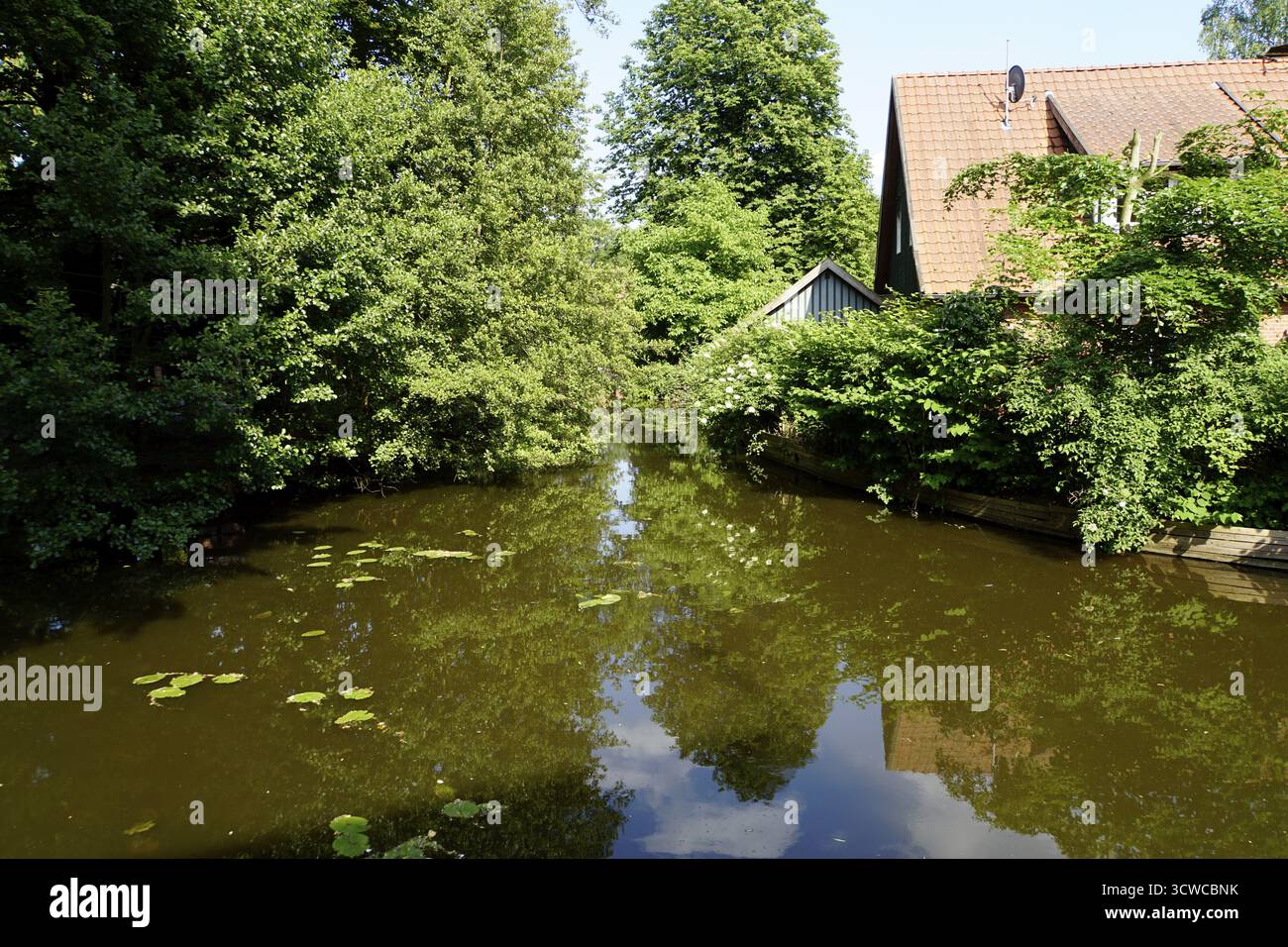 Natürliche Idylle in Wienhausen, Niedersachsen, Deutschland Stockfoto