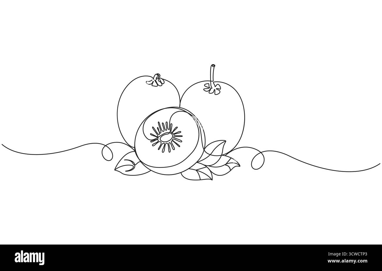 Eine Linie Kunst Kiwi Vektor Illustration. Line Art, eine durchgehende Linie, einfach, Kiwi Fruits kontinuierliche Line Art Zeichnung, Kiwi Fruit Line Zeichnung Stock Vektor