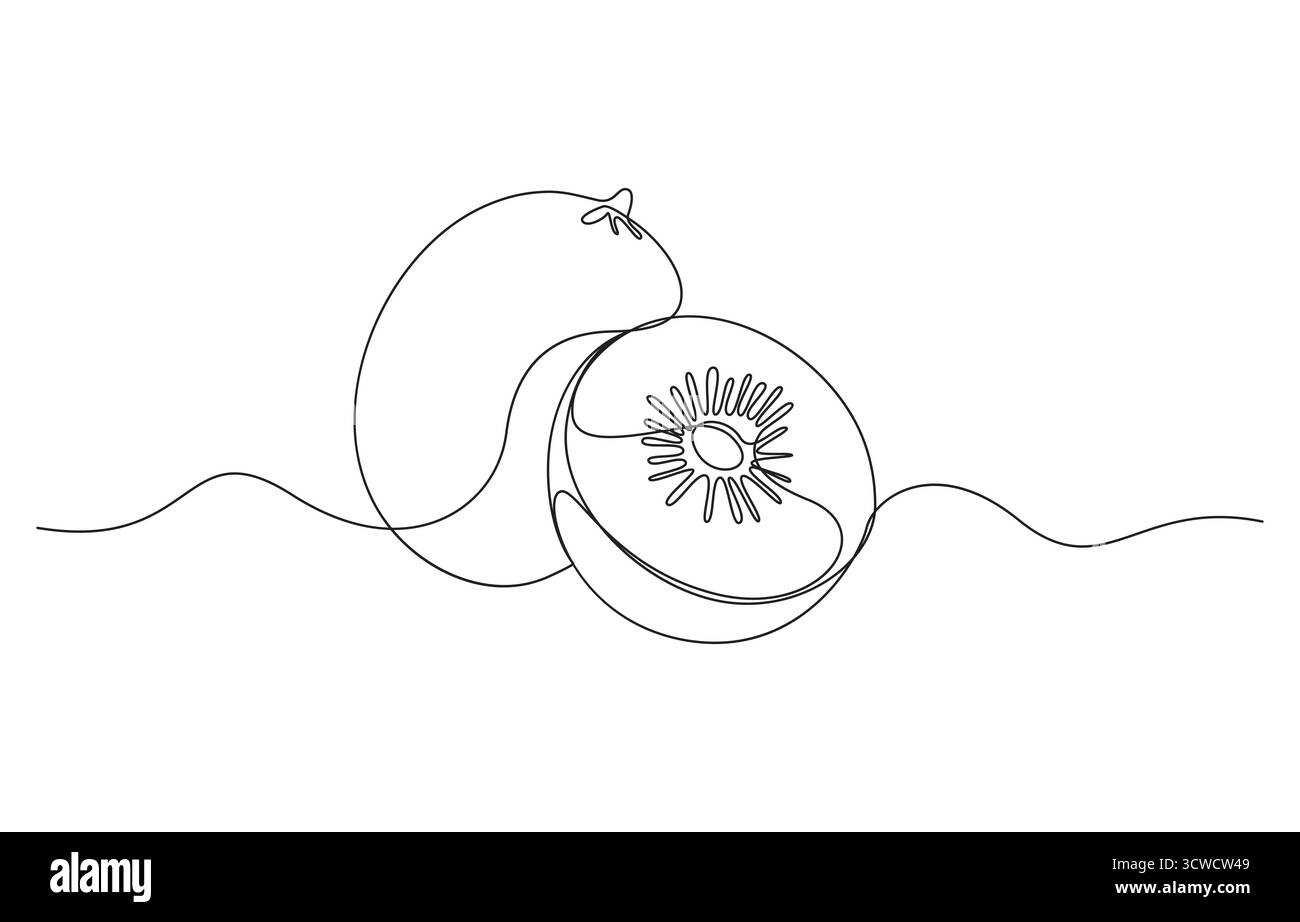 Eine Linie Kunst Kiwi Vektor Illustration. Line Art, eine durchgehende Linie, einfach, Kiwi Fruits kontinuierliche Line Art Zeichnung, Kiwi Fruit Line Zeichnung Stock Vektor