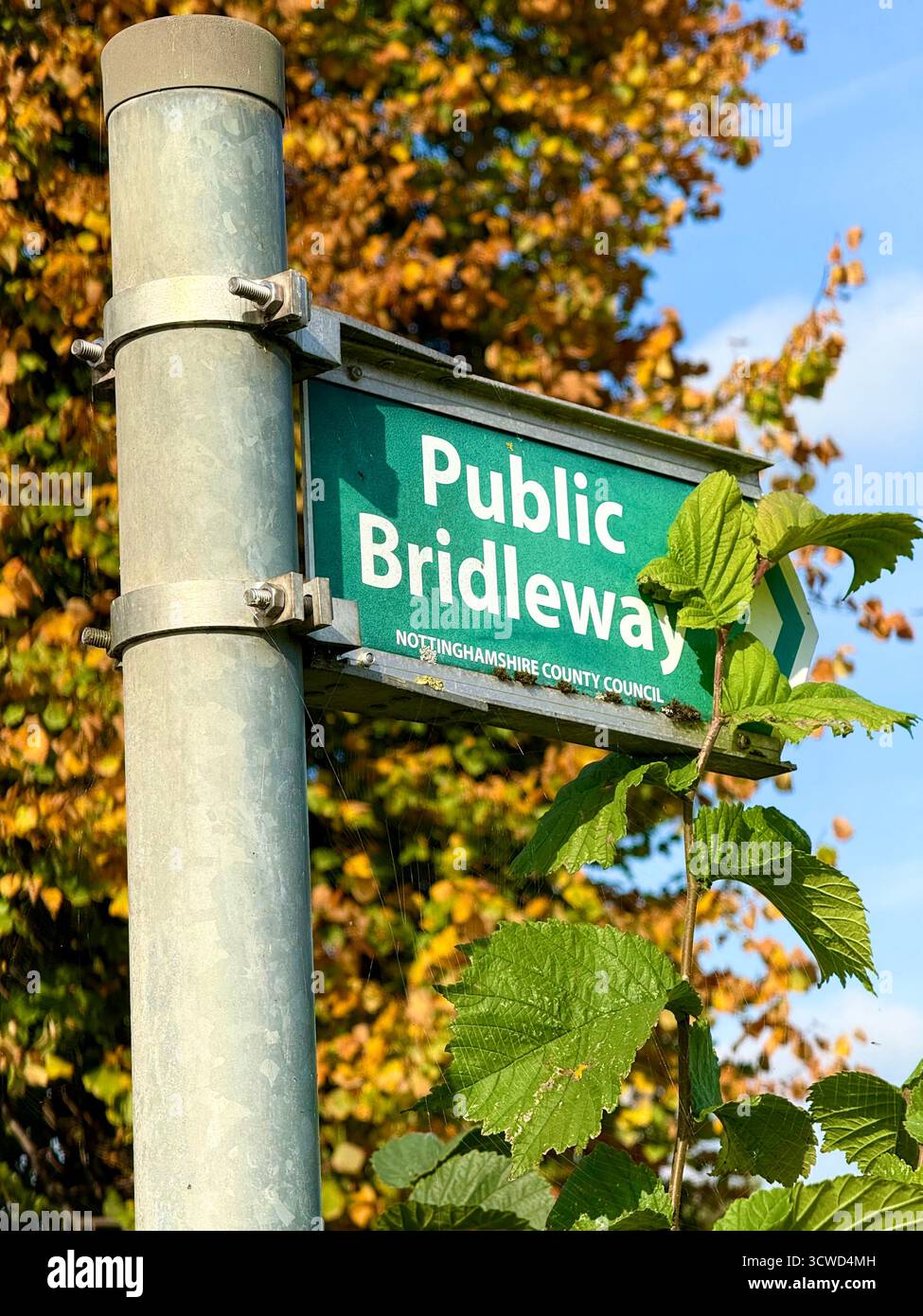Ein öffentlicher Brückenweg auf dem englischen Land Stockfoto