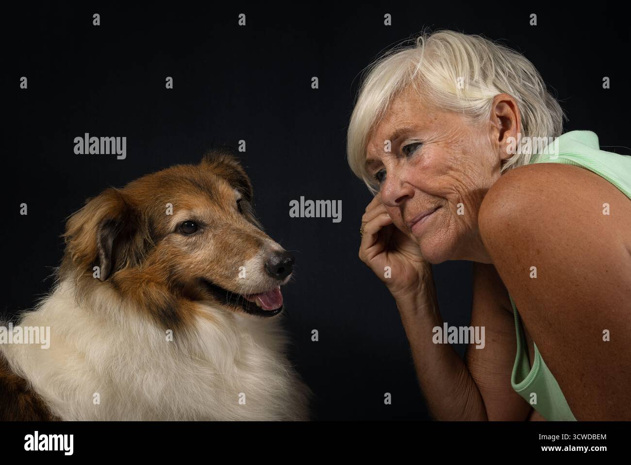 Ein herzerwärmendes Studio-Porträt einer älteren Frau, die liebevoll ihren Collienhund anstarrt. Der Hund blickt mit einem fröhlichen Ausdruck zurück und hebt ein hervor Stockfoto